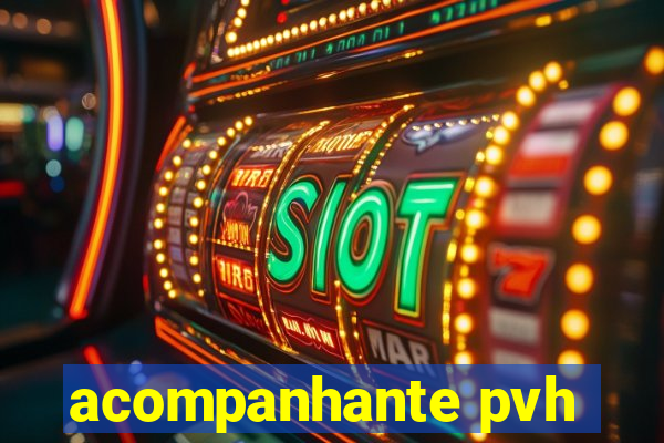 acompanhante pvh